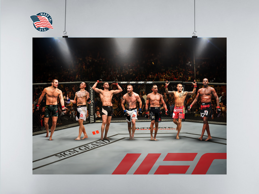 UFC BMF's Poster