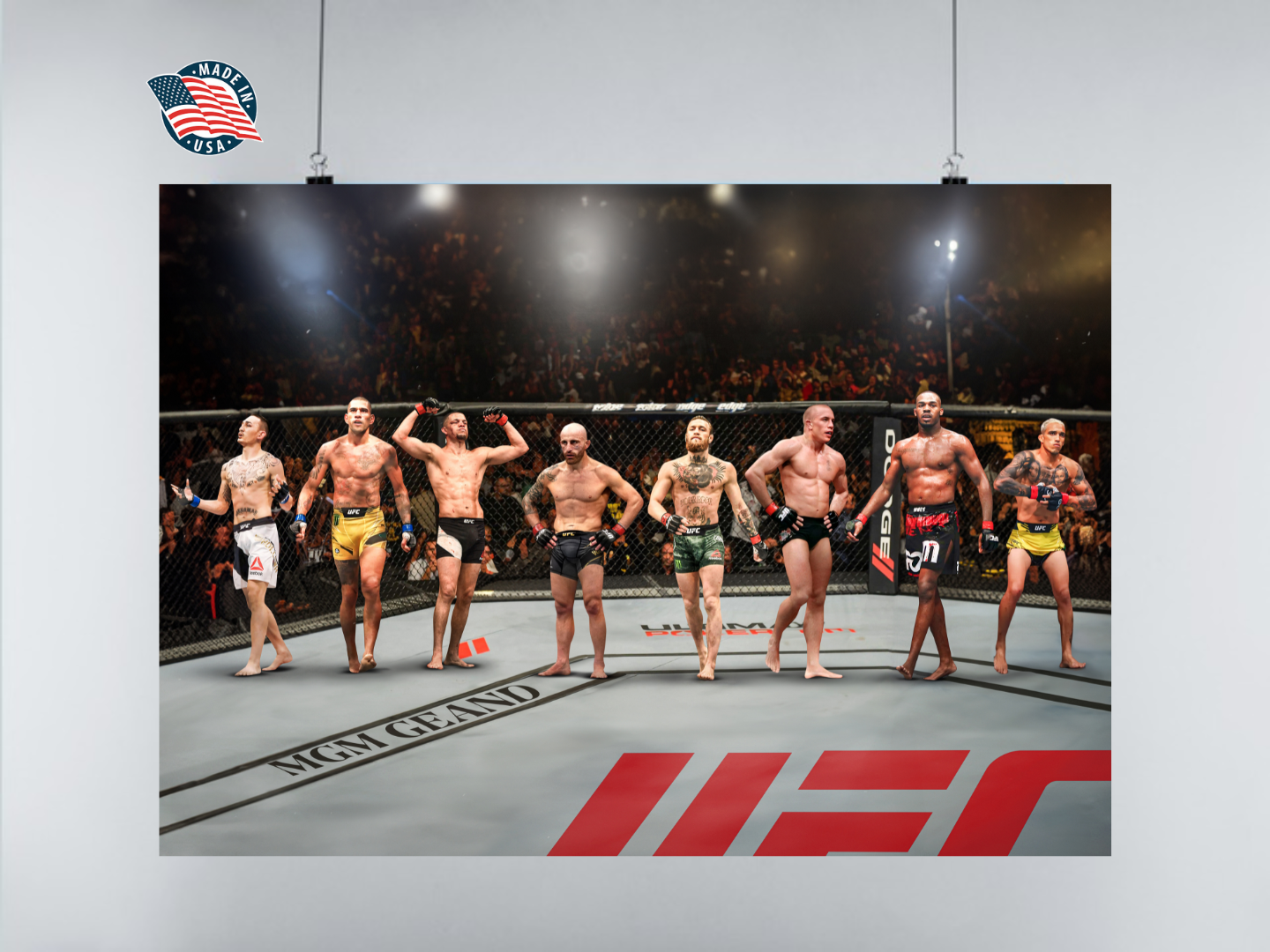 UFC Fan Favourites Poster